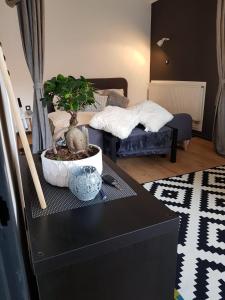 A place to relax 