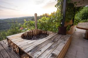 Vineyard cottage Sonce 