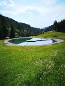 Valle Divina 