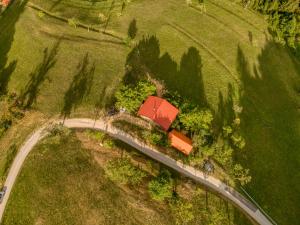 Cottage surrounded by forests - The Sunny Hill 