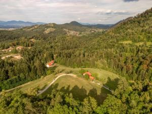 Cottage surrounded by forests - The Sunny Hill 