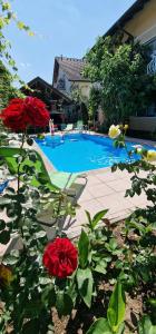 APARTMAN MURKO P-3 