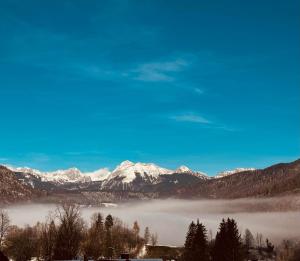 Home with views on Alps 