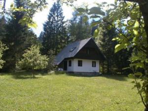 Apartment Lake Bohinj no. 5 