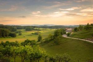 Holiday home in Trebelno - Dolenjska & Bela krajina Unter- & Weißkrain 26032 