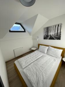 Sunshine Apartments Golte C1 