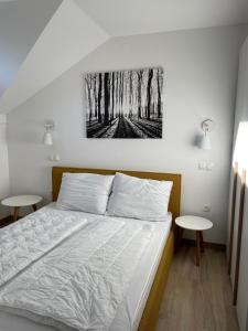 Sunshine Apartments Golte C1 
