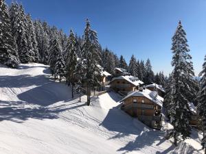 Primorka Golte 