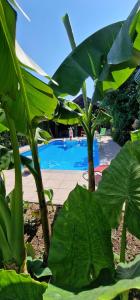 APARTMAN MURKO S-1 