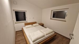 Family house Kranjska Gora 