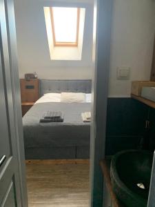 Hiša Pod gorami II****-house with wellness 
