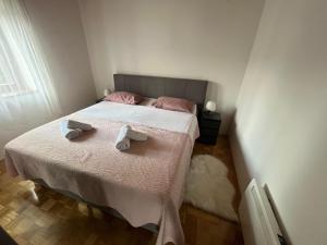 Apartma Zdar 
