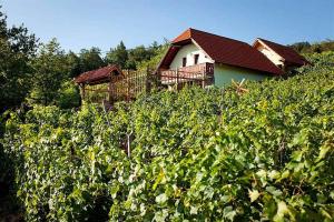 Holiday home in Otocec Kranjska Krain 26062