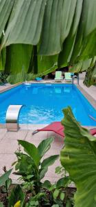 Apartman MURKO P-1 