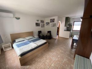Apartmaji SOČA 