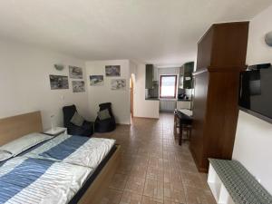 Apartmaji SOČA 