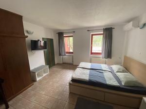 Apartmaji SOČA 