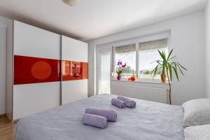 Apartments & Wellness Dalija with Massages studio 