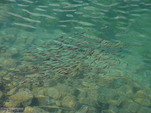 Weißenfelser Seen - Unter See
