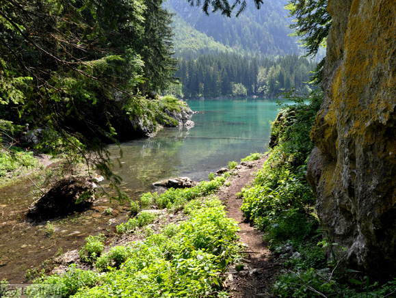 Pot okrog majhnega zaliva