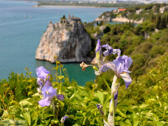  Schloss Duino - Aussichtspunkt 2