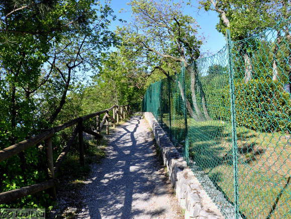 Pot ob kampu Mare Pineta Pot ob kampu Mare Pineta