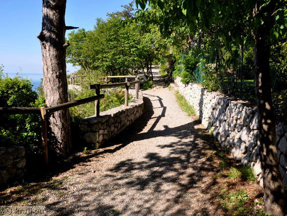 Rilkejeva pot Rilkejeva pot