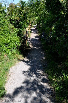 Rilkejeva pot Rilkejeva pot