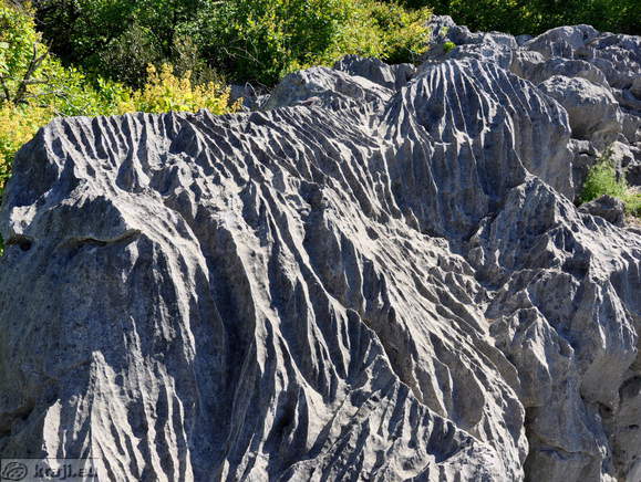 Zanimive oblike na skalah Zanimive oblike na skalah