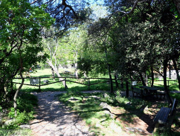 Prihod do visoke šole UWC Adriatic Prihod do visoke šole UWC Adriatic