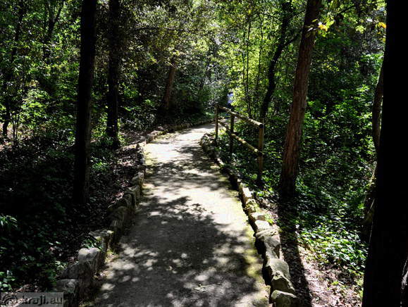 Rilkejeva pot v bližini razpotja Rilkejeva pot v bližini razpotja