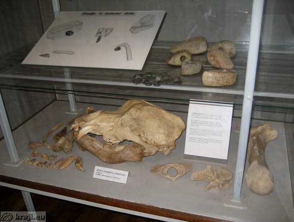 Schloss Brezice - Posavski Museum