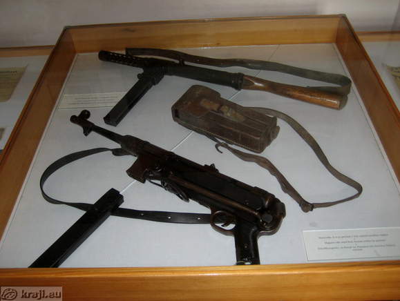 Schloss Brezice - Posavski Museum