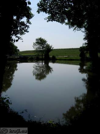 Ribnik v spodnjem delu grajskega parka Mokrice