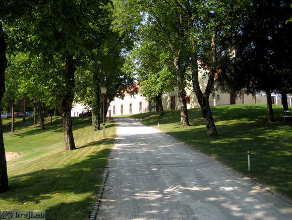 Pot proti klubski hiši