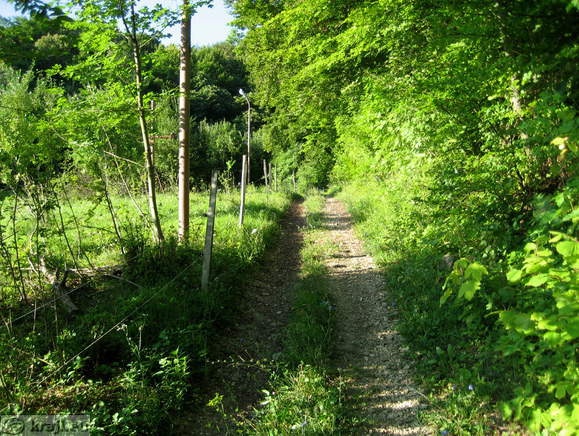 Sentviska gora (Sentvid Berg) - Hl. Vitus