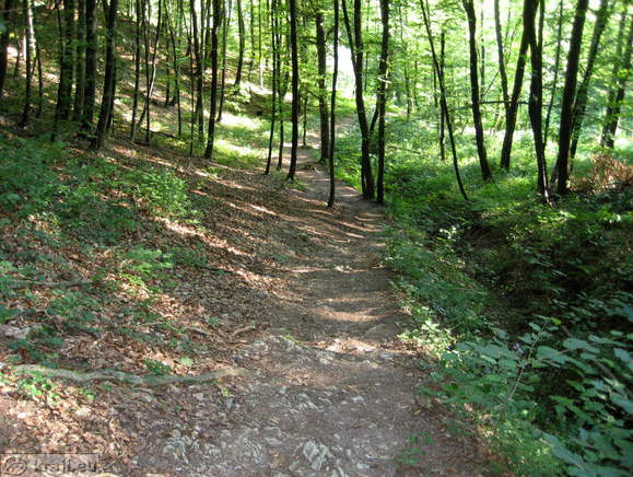 Sentviska gora (Sentvid Berg) - Hl. Vitus