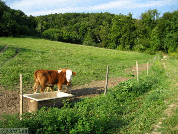 Sentviska gora (Sentvid Berg) - Hl. Vitus