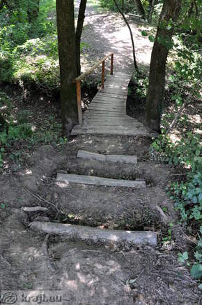 Mostiček v zadnjem delu poti