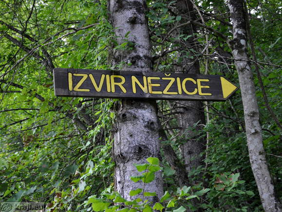 Usmerjevalna tabla - Izvir Nežice