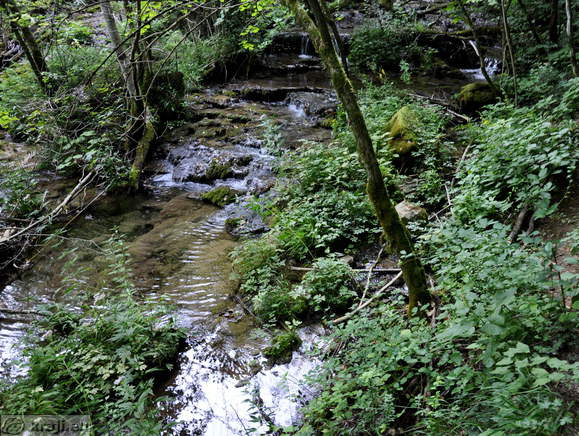 Pot ob potoku Nežica