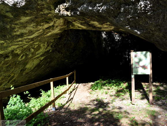 Zeljnske jame (Zeljna Grotte)