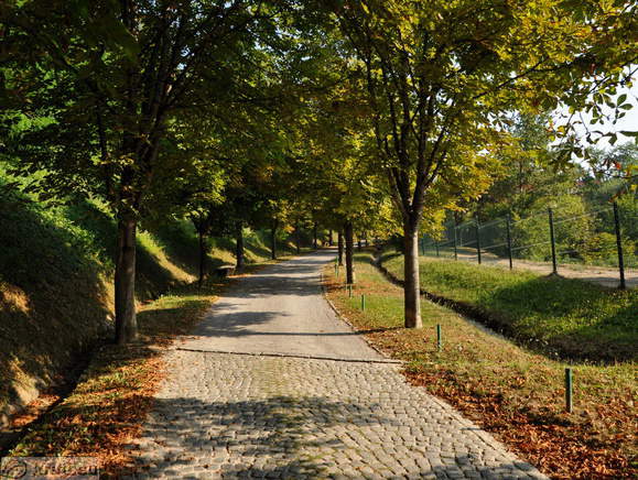 Novo mesto - Kette Avenue