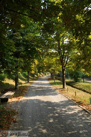 Novo mesto - Kette Avenue