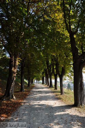 Novo mesto - Kette Avenue