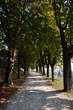 Kette Avenue - Promenade Kette Avenue 