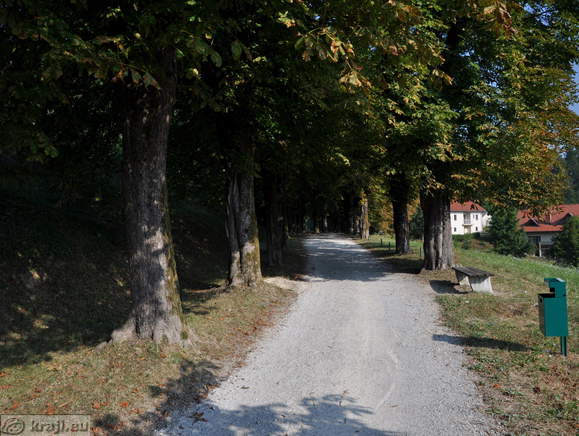 Novo mesto - Kette Avenue