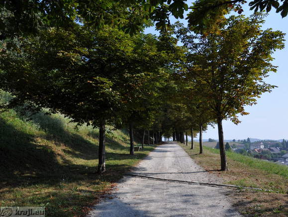 Novo mesto - Kette Avenue