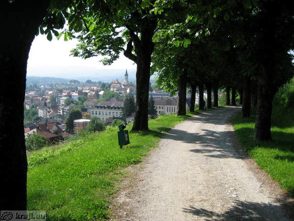 Novo mesto - Kette Avenue