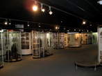 Novo mesto - Dolenjski muzej - Dolenjski muzej Novo mesto - Zbirka novejše zgodovine